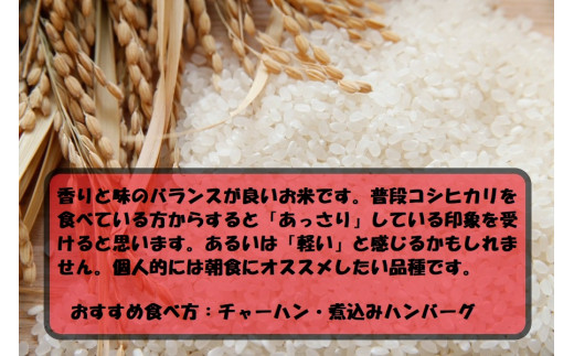 令和7年産 茨城あきたこまち 5kg 1袋 あきたこまち 白米 精米 ごはん お米 国産 茨城県産 守谷市 送料無料