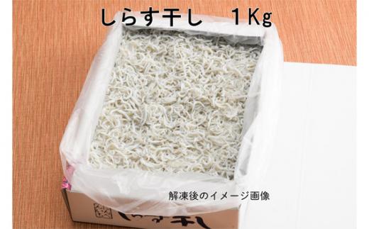 茨城県坂東市のふるさと納税 No.433 しらす干し　1kg【茨城県共通返礼品 大洗町】 ／ 新鮮 シラス 釜揚げ 茨城県産 大洗 魚 小分け 工場 直産 茨城県