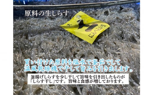 茨城県坂東市のふるさと納税 No.433 しらす干し　1kg【茨城県共通返礼品 大洗町】 ／ 新鮮 シラス 釜揚げ 茨城県産 大洗 魚 小分け 工場 直産 茨城県