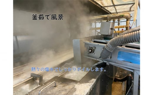 茨城県坂東市のふるさと納税 No.433 しらす干し　1kg【茨城県共通返礼品 大洗町】 ／ 新鮮 シラス 釜揚げ 茨城県産 大洗 魚 小分け 工場 直産 茨城県