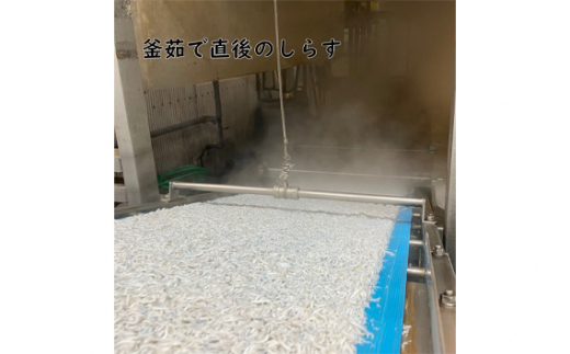 茨城県坂東市のふるさと納税 No.433 しらす干し　1kg【茨城県共通返礼品 大洗町】 ／ 新鮮 シラス 釜揚げ 茨城県産 大洗 魚 小分け 工場 直産 茨城県