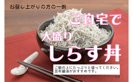 茨城県坂東市のふるさと納税 No.433 しらす干し　1kg【茨城県共通返礼品 大洗町】 ／ 新鮮 シラス 釜揚げ 茨城県産 大洗 魚 小分け 工場 直産 茨城県