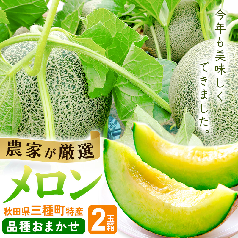 にゃるめろん様　１０×3✨（秋田県産感謝セール） 三種町特産 品種お任せ メロン 詰合せ 中箱 3〜5個｜三種町