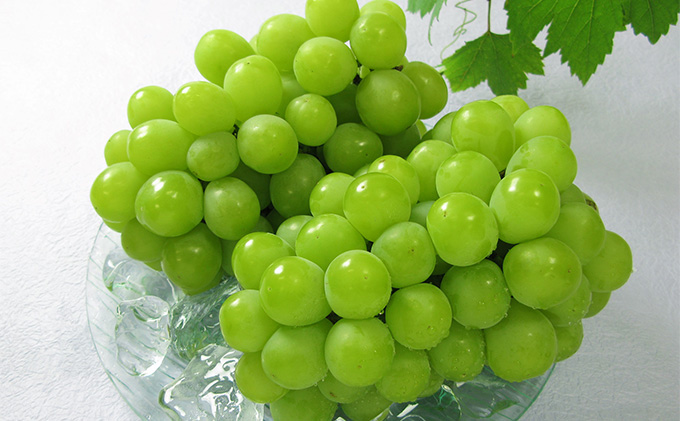 フルーツ 2026年 先行予約 4回お届け便！  環山堂 セレクト 晴れの国 おかやま より 果物 を旬な時期に4回に分けてお届け！ 桃 葡萄 梨 岡山県産 国産 果物 セット ギフト 