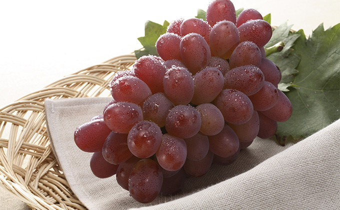 フルーツ 2026年 先行予約 4回お届け便！  環山堂 セレクト 晴れの国 おかやま より 果物 を旬な時期に4回に分けてお届け！ 桃 葡萄 梨 岡山県産 国産 果物 セット ギフト 