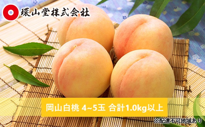 【岡山県玉野市】桃 2026年 先行予約 岡山 白桃 4〜5玉 合計1.0kg以上 もも モモ 岡山県産 国産 フルーツ 果物 ギフト 環山堂