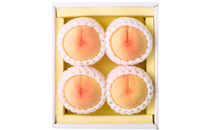 桃 2026年 先行予約 岡山 白桃 4～5玉 合計1.0kg以上 もも モモ 岡山県産 国産 フルーツ 果物 ギフト 環山堂 