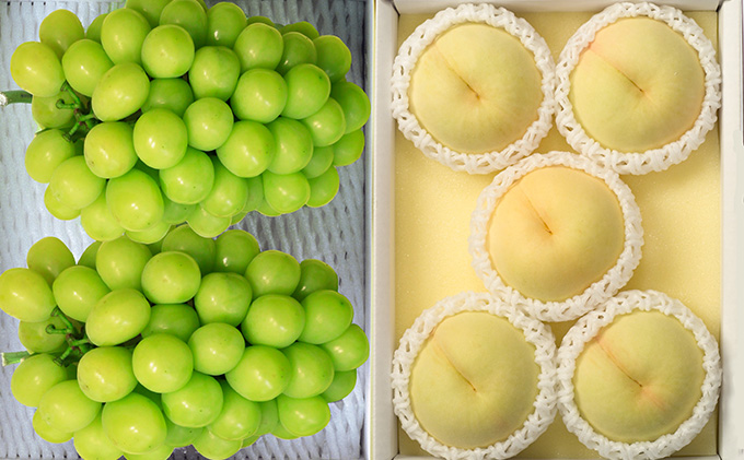 桃 ぶどう 2026年 先行予約 岡山 白桃 5玉とシャイン マスカット 2房 詰合せ 合計2.7kg以上 もも 葡萄 岡山県産 国産 フルーツ 果物 ギフト 環山堂 