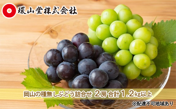 【岡山県玉野市】ぶどう 2026年 先行予約 種無し ぶどう 詰合せ 2房 合計1.2kg以上 マスカット ブドウ 葡萄  岡山県産 国産 フルーツ 果物 ギフト 環山堂