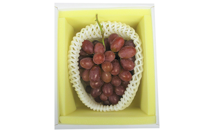 ぶどう 2026年 先行予約 冬 紫苑 1房 700g以上 ブドウ 葡萄  岡山県産 国産 フルーツ 果物 ギフト 環山堂 