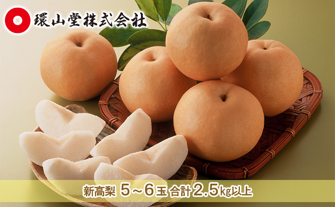 梨 2026年 先行予約 新高 梨 5～6玉 合計2.5kg以上 なし ナシ 岡山県産 国産 フルーツ 果物 ギフト 環山堂 