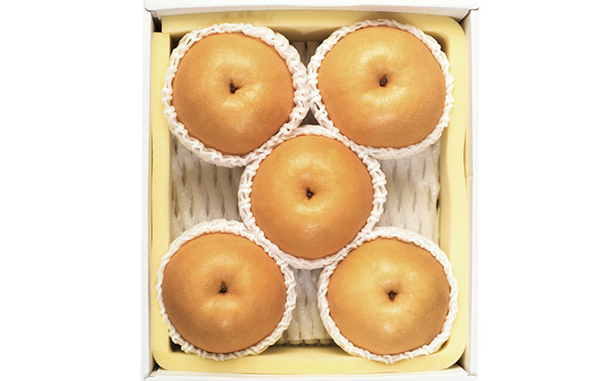 梨 2026年 先行予約 新高 梨 5～6玉 合計2.5kg以上 なし ナシ 岡山県産 国産 フルーツ 果物 ギフト 環山堂 