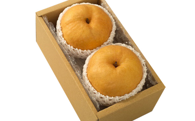 梨 2026年 先行予約 あたご 梨 2玉 合計1.8kg以上 なし ナシ 岡山県産 国産 フルーツ 果物 ギフト 環山堂 