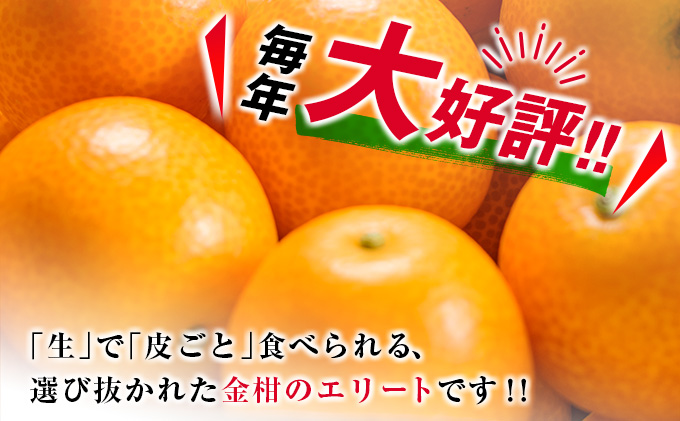 宮崎県日南市のふるさと納税 糖度16度以上 数量限定 完熟 きんかん たまたま 計1kg以上 傷み補償分入り 宮崎 期間限定 フルーツ 果物 くだもの ブランド 金柑 柑橘 令和8年発送 化粧箱入り 国産 食品 人気 おすすめ ギフト 贈り物 贈答 ご褒美 お祝い おすそ分け 日南市 送料無料_B215-23