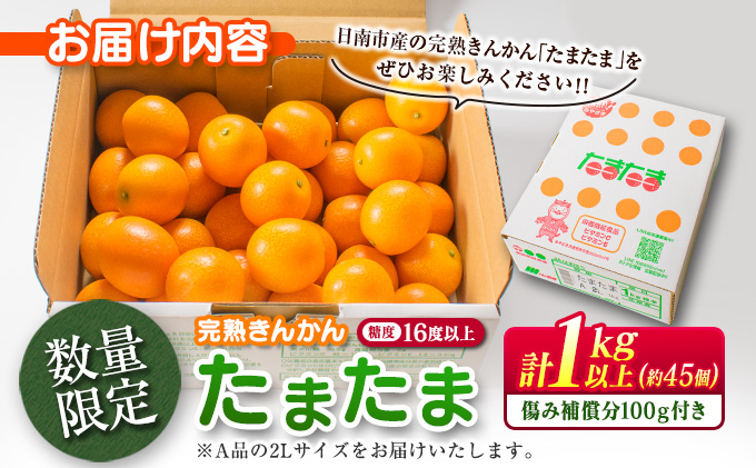 宮崎県日南市のふるさと納税 糖度16度以上 数量限定 完熟 きんかん たまたま 計1kg以上 傷み補償分入り 宮崎 期間限定 フルーツ 果物 くだもの ブランド 金柑 柑橘 令和8年発送 化粧箱入り 国産 食品 人気 おすすめ ギフト 贈り物 贈答 ご褒美 お祝い おすそ分け 日南市 送料無料_B215-23