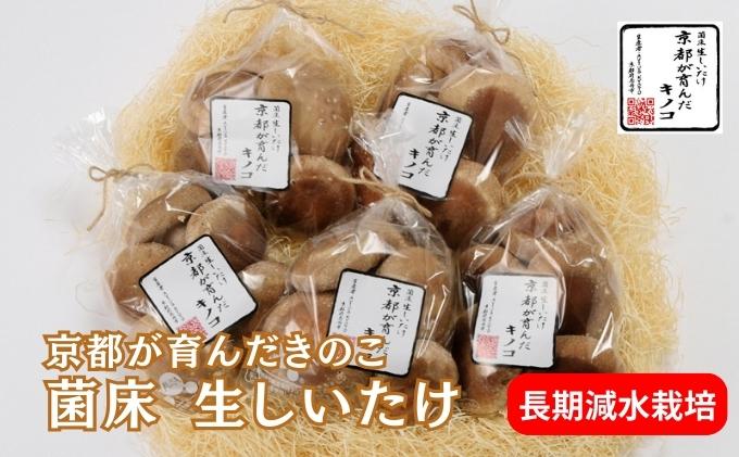 しいたけ 京都が育んだきのこ 長期減水栽培 菌床 生しいたけ 特大サイズ 200g 5袋 椎茸 シイタケ きのこ キノコ 野菜 京都 