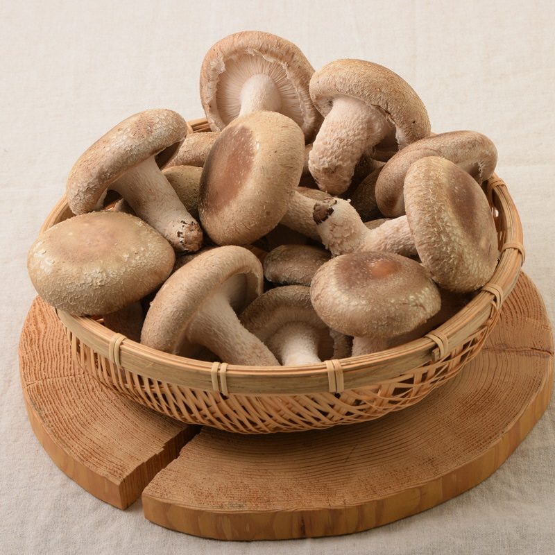 しいたけ 京都が育んだきのこ 長期減水栽培 菌床 生しいたけ 特大サイズ 200g 5袋 椎茸 シイタケ きのこ キノコ 野菜 京都 