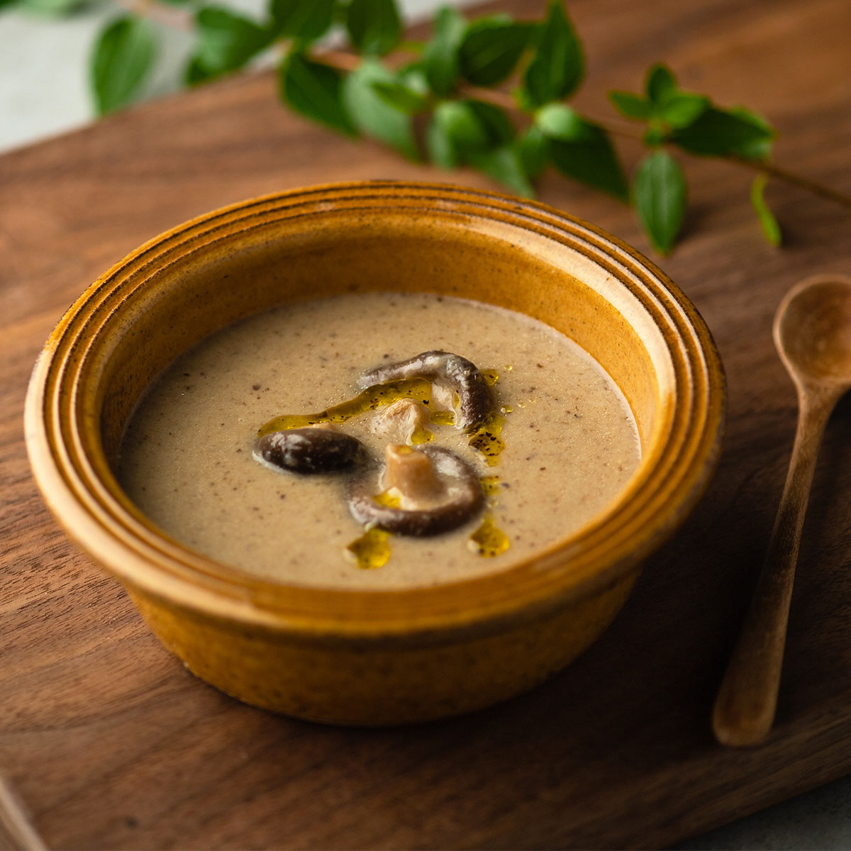 ポタージュ 京都が育んだキノコの濃熟ポタージュ 160g 4箱 セット ポタージュスープ スープ レトルト食品 レトルト 常温 無添加 保存食 しいたけ 椎茸 シイタケ きのこ キノコ 野菜 京都 