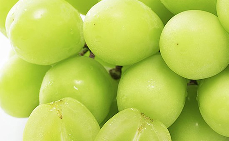 岡山県赤磐市のふるさと納税 早期受付 シャイン マスカット 1房（650g以上） 桃茂実苑