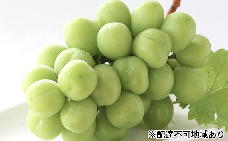 【岡山県赤磐市】早期受付 シャイン マスカット 2房(1房500g以上) 桃茂実苑