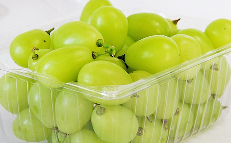 ぶどう 早期受付 シャイン マスカット 1パック 750g以上 ブドウ 葡萄 岡山県産 国産 フルーツ 果物 ギフト 桃茂実苑 果物類 