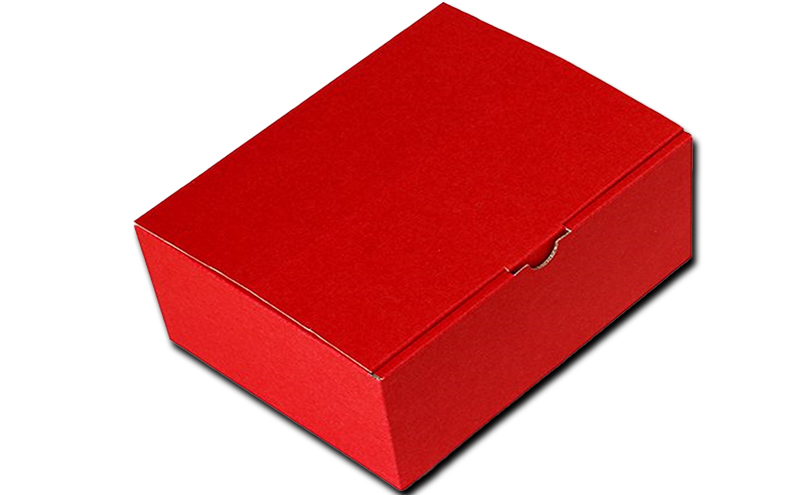 ぶどう 早期受付 シャイン マスカット 1パック 750g以上 ブドウ 葡萄 岡山県産 国産 フルーツ 果物 ギフト 桃茂実苑 果物類 