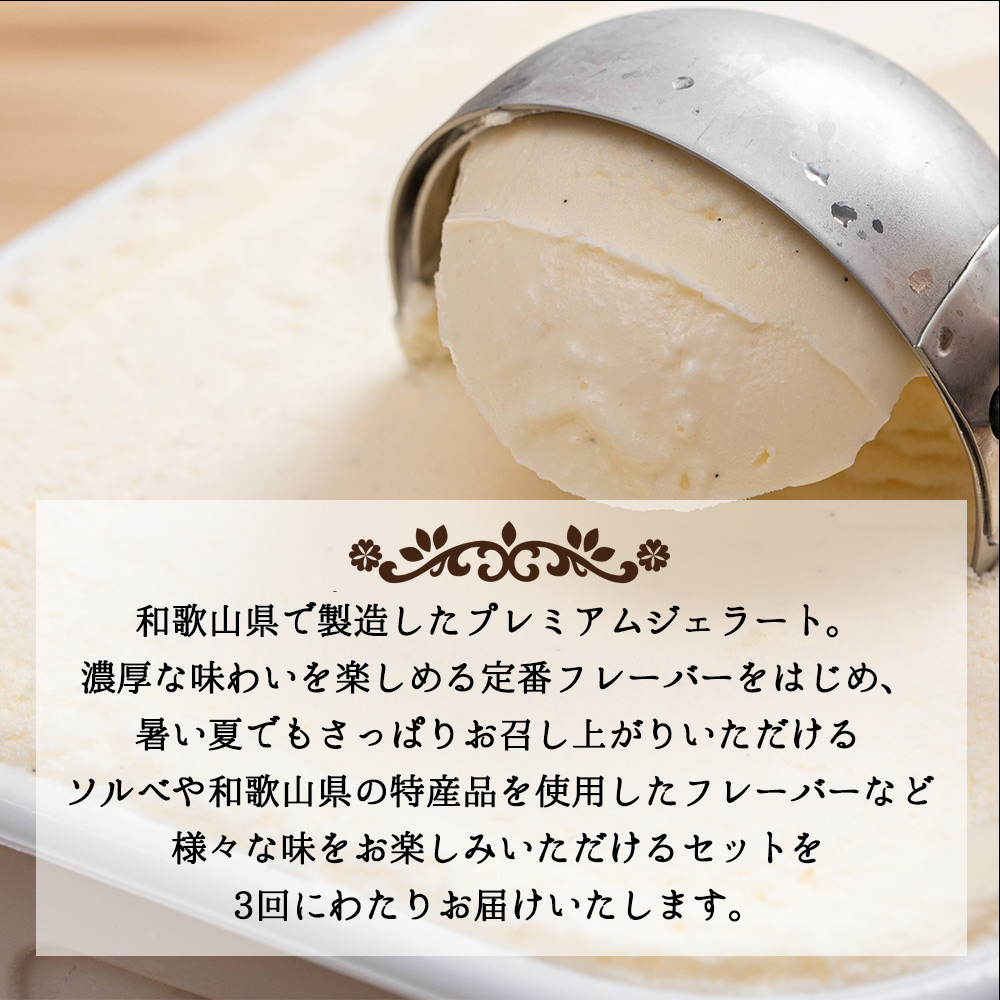 V20-T07_【定期便 全3回 毎月お届け】 和歌山のプレミアムジェラート