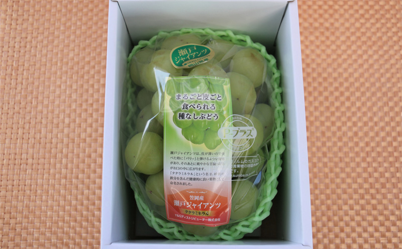 【2026年先行予約】 ぶどう 岡山県産 たたらみねらる 瀬戸ジャイアンツ 1房(約650g) 《2026年9月中旬-10月中旬頃出荷》 葡萄 ブドウ フルーツ 果物 スイーツ 数量限定 期間限定 岡山 里庄町 