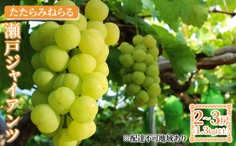 yRzy2026Ns\z Ԃǂ RY ݂˂ ˃WCAc 1.3kgȏi2[`3[j s2026N9{-10{oׁt  uhE t[c ʕ XC[c ʌ Ԍ R 