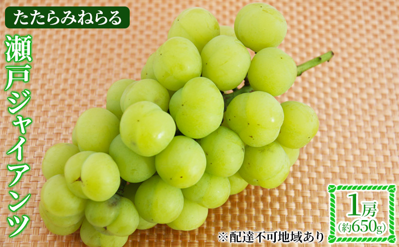 yRzy2026Ns\z Ԃǂ RY ݂˂ ˃WCAc 1[(650g) s2026N9{-10{oׁt  uhE t[c ʕ XC[c ʌ Ԍ R 