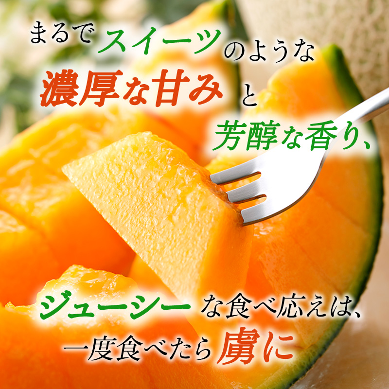 ふらの赤肉メロン1.3kg×2玉≪一色商店≫ 果物類 フルーツ メロン赤肉