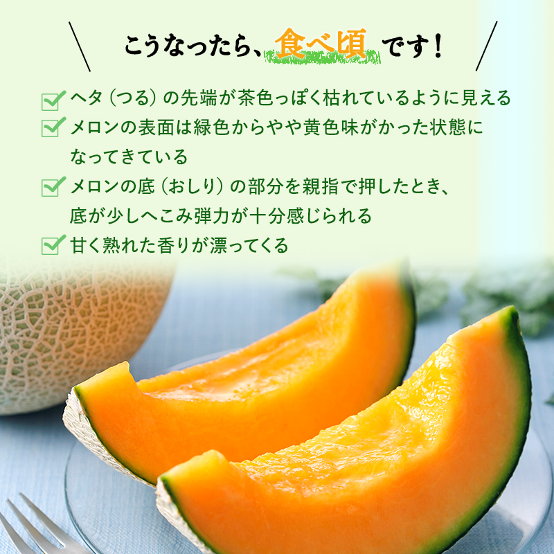 ふらの赤肉メロン1.3kg×2玉≪一色商店≫ 果物類 フルーツ メロン