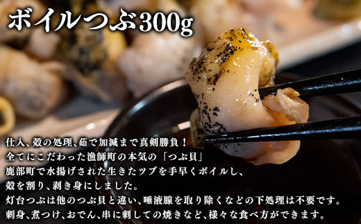 北海道産 鹿部漁港セット700g ほたて貝柱200g たこうどん200g ボイルつぶ300g