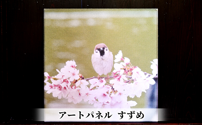 アートパネル　すずめ 織物 フォトグラファー 下村綱起 撮影 風景 動物 写真 厳選 作品 フェルト 生地 オリジナル インテリア プレゼント 癒し 