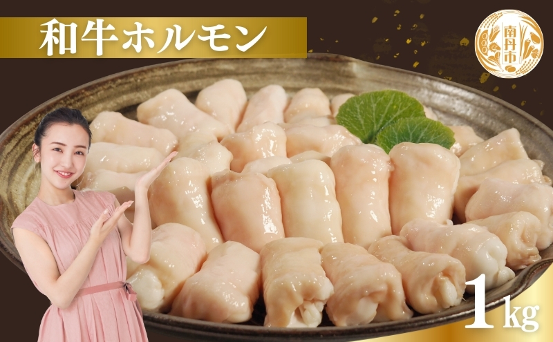 牛肉 京都もり牛 和牛 ホルモン 1kg 小分け 京都府産 国産 国産牛 黒毛和牛 小腸 焼き肉 焼肉 BBQ バーベキュー もつ もつ鍋 鍋 お肉 牛 肉 ブランド ギフト 冷凍 京都 牛肉/ホルモン 