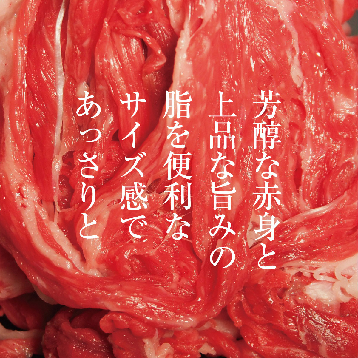 牛肉 京都もり牛 こま切れ 800g 小分け 京都府産 国産 国産牛 和牛 黒毛和牛 小間切れ 焼き肉 焼肉 BBQ バーベキュー カレー 牛丼 鍋 お肉 牛 肉 ブランド ギフト 冷凍 京都 