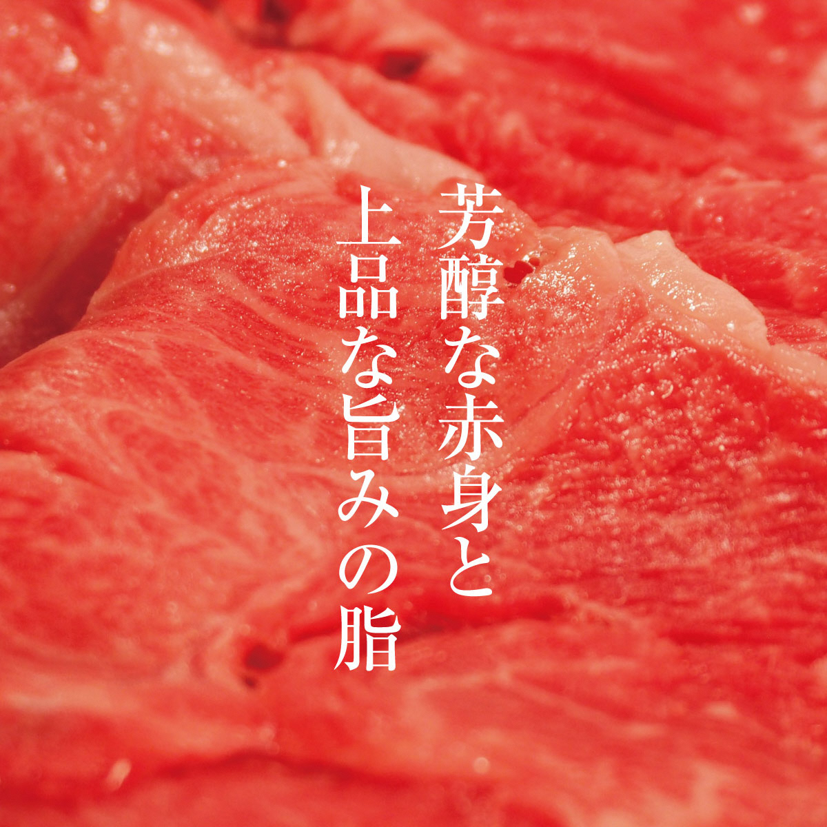 牛肉 京都もり牛 切り落とし スライス 600g 京都府産 国産 国産牛 和牛 黒毛和牛 焼き肉 焼肉 BBQ バーベキュー カレー 牛丼 鍋 お肉 牛 肉 ブランド ギフト 冷凍 京都 