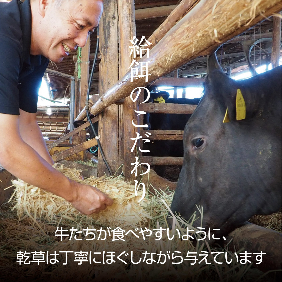 牛肉 京都もり牛 切り落とし スライス 600g 京都府産 国産 国産牛 和牛 黒毛和牛 焼き肉 焼肉 BBQ バーベキュー カレー 牛丼 鍋 お肉 牛 肉 ブランド ギフト 冷凍 京都 