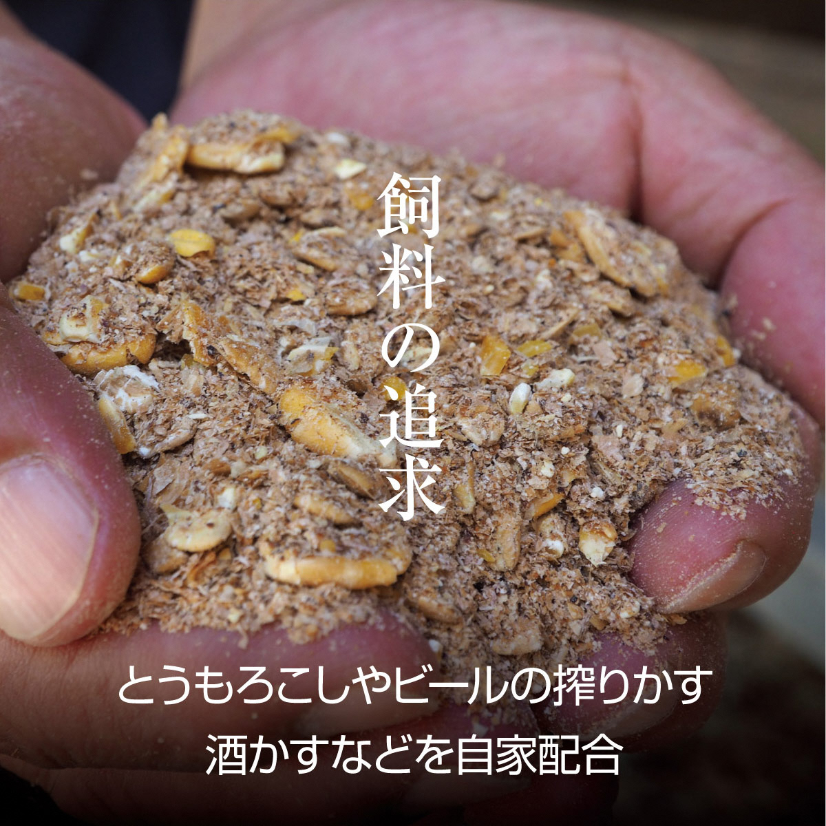 牛肉 京都もり牛 切り落とし スライス 600g 京都府産 国産 国産牛 和牛 黒毛和牛 焼き肉 焼肉 BBQ バーベキュー カレー 牛丼 鍋 お肉 牛 肉 ブランド ギフト 冷凍 京都 