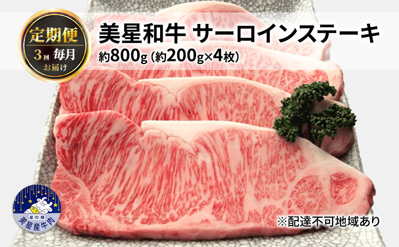 yRzy 3 ͂za T[CXe[L e800gi200g×4j  R  