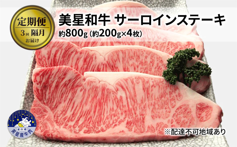 yRzy 3 uœ͂za T[CXe[L e800gi200g×4j  R  