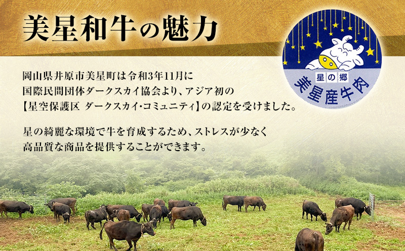 【定期便 3回 毎月届く】美星和牛 ステーキ食べ比べセット 各回約1.0kg  牛肉 岡山県 里庄町 送料無料