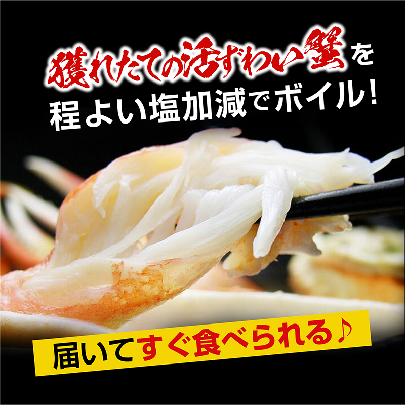 【12月25日決済確定分まで年内発送】 カジマ×ますよね！ ボイル 本ズワイガニ足 3kg！ ズワイガニ ズワイ蟹 ずわい かに かに足 蟹足 足 かに脚 蟹脚 脚 かに鍋 蟹鍋 かにしゃぶ 蟹しゃぶ