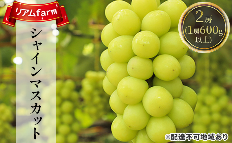 【岡山県里庄町】【2026年先行予約】 ぶどう 岡山県産 シャインマスカット 2房(1房600g以上) 《2026年7月下旬-8月下旬頃出荷》 葡萄 ブドウ フルーツ 果物 スイーツ 数量限定 期間限定 里庄町 リアム farm
