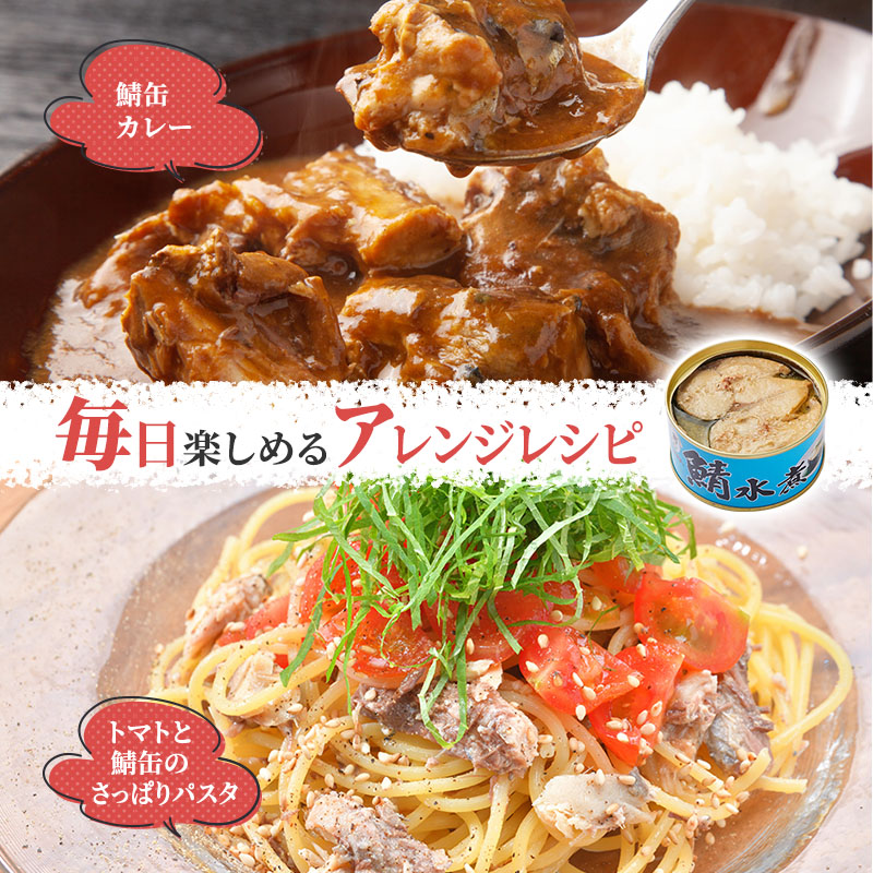 サバ缶 水煮 12缶 セット 詰め合わせ 若狭の鯖缶 鯖缶 さば缶