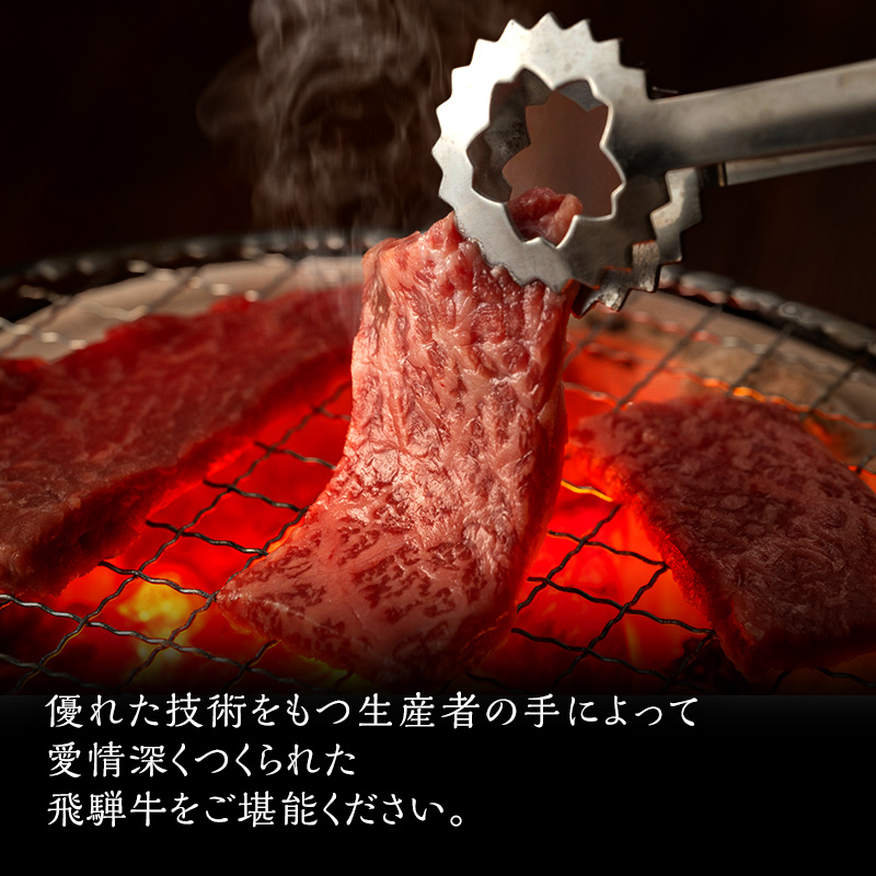 飛騨牛 サーロイン 岐阜県海津市産 焼肉 500g 牛肉 焼き肉 お肉 冷凍 バーベキュー BBQ 