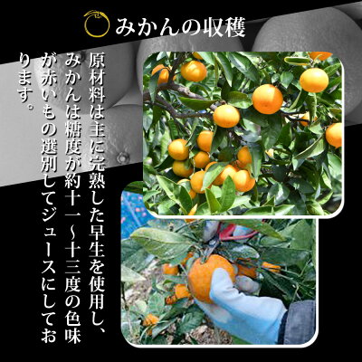 ZY6103n_有田みかんの味皇 180ml×12本 セット【和歌山 みかんジュース ミカンジュース ストレート 無添加 果汁100% 有田】