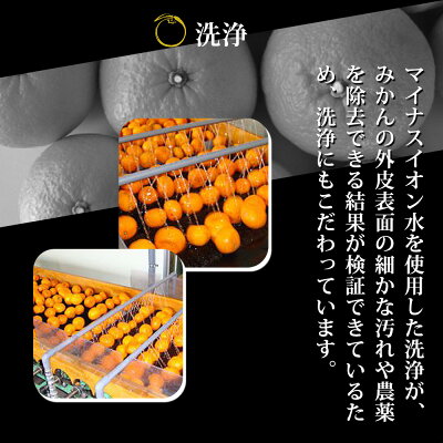 ZY6103n_有田みかんの味皇 180ml×12本 セット【和歌山 みかんジュース ミカンジュース ストレート 無添加 果汁100% 有田】