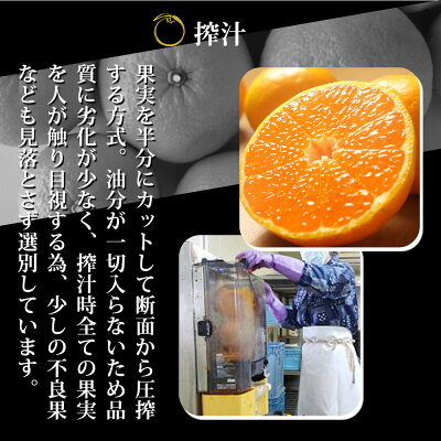 ZY6103n_有田みかんの味皇 180ml×12本 セット【和歌山 みかんジュース ミカンジュース ストレート 無添加 果汁100% 有田】