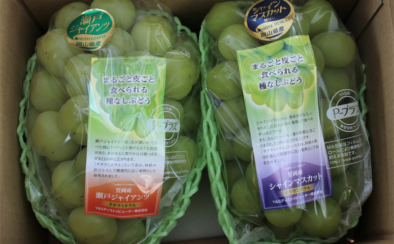 【2026年先行予約】 ぶどう 岡山県産 たたらみねらる シャインマスカット & 瀬戸ジャイアンツ 食べ比べセット 各1房(1房約650g) 《2026年9月中旬-10月中旬頃出荷》 ブドウ フルーツ 果物 数量限定